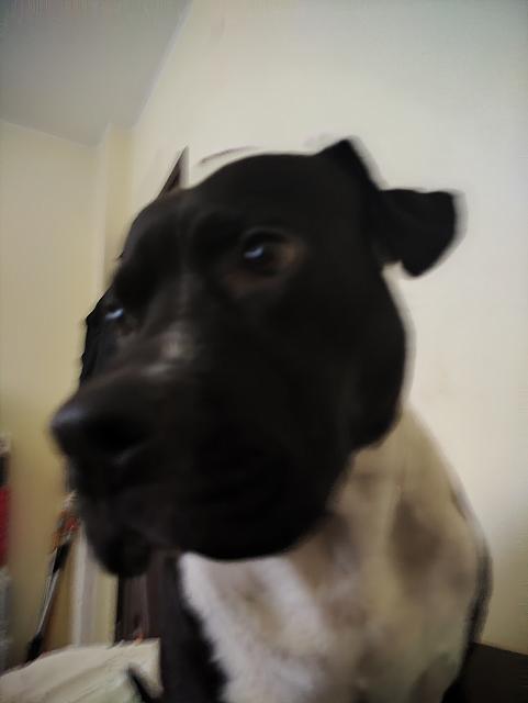 IMG 20230615 180322[1]