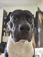 IMG 20230610 192900[1]