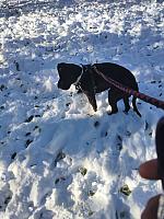 IMG 20231127 100344[1]