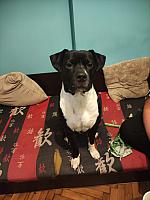 IMG 20231129 190521[1]